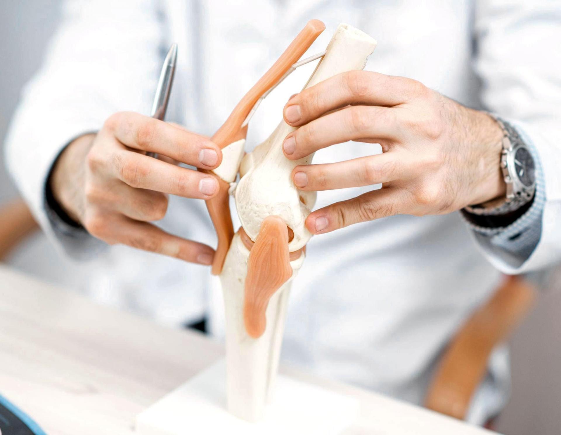 Эндопротезирование в лучших клиниках мира Эндопротезирование в лучших клиниках мира